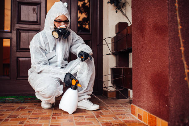 Reliable Wasp Removal contractor in Battle Ground, IN by Show Me Pest Control